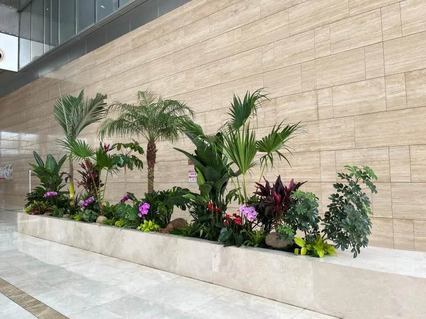 深挖宁波奉化盆景出租价格，别错过